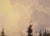 Hermann Dieste, Winter Forest Landscape, 1980s, Oil, Framed For Sale - Image 4 of 12