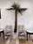 Hollywood Regency Large 1970s Artist-Made Copper and Brass Palm Tree Wall Sculpture For Sale - Image 3 of 12