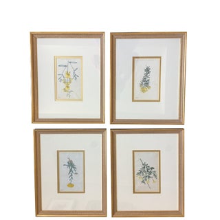 Late 18th Century Traditional Botanical Prints - Set of 4 For Sale