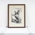 Ennio from Calabria, Composition with Figure, Lithograph For Sale - Image 6 of 6