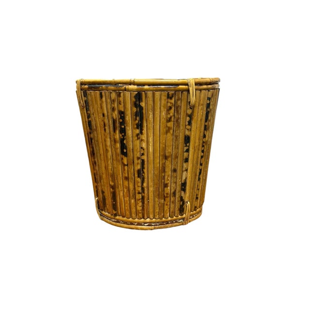 Tortoise Pencil Bamboo and Rattan Basket Planter For Sale - Image 11 of 12
