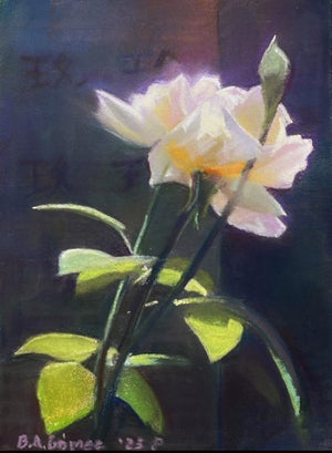 ? Rose by Bruce A Gómez | Pastel of a white rose with green leaves on a dark background