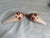 Pair of Vintage Mexican Folk Art Hand Painted Clay Bird Pidgeons For Sale - Image 12 of 12