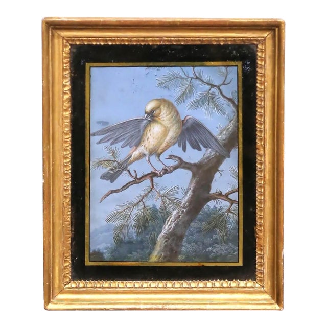 19th Century French Fixé Sous Verre Bird Painting in Carved Giltwood Frame For Sale