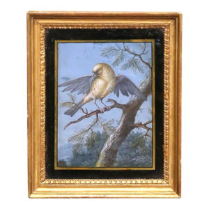 19th Century French Fixé Sous Verre Bird Painting in Carved Giltwood Frame