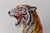 Large Italian Ceramic Tiger, 1970s For Sale - Image 13 of 18