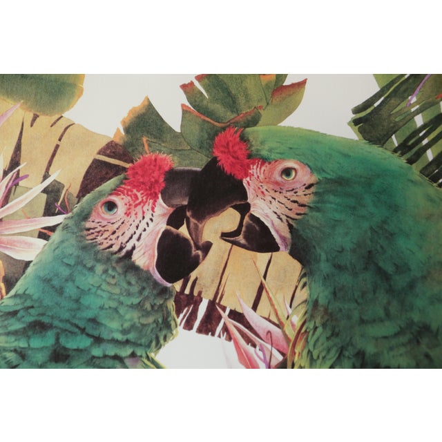 Framed Tropical Parrot Limited Edition Print Pam Mark 'Birds of Paradise' For Sale In San Diego - Image 6 of 18