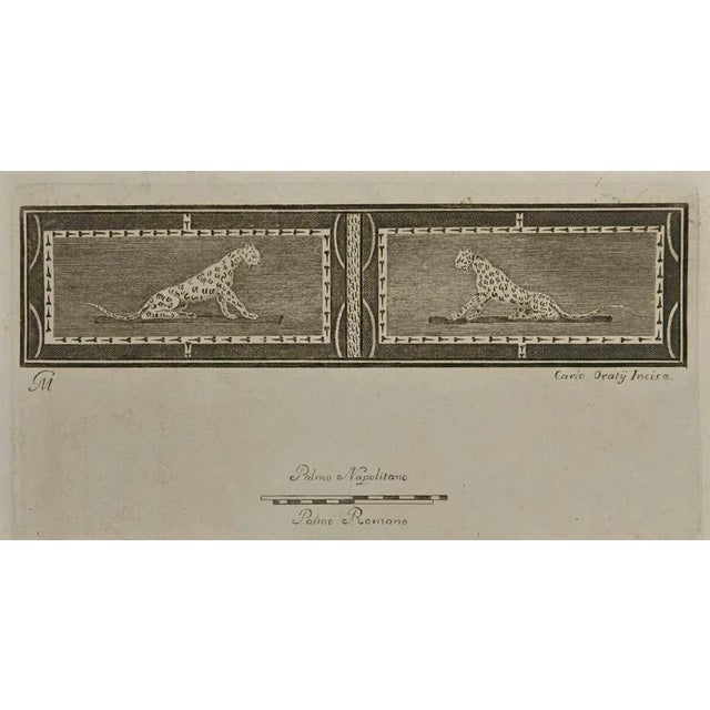 Jaguar Pompeian Fresco from "Antiquities of Herculaneum" is an etching on paper realized by Carlo Oraty in the 18th...