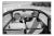Front Seats and Dashboard of the Volkswagen Beetle, Germany, 1938, Photograph For Sale