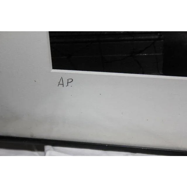 Photography "Princess Lynn Von Furstenberg" Photograph by Lance Evans For Sale - Image 7 of 9