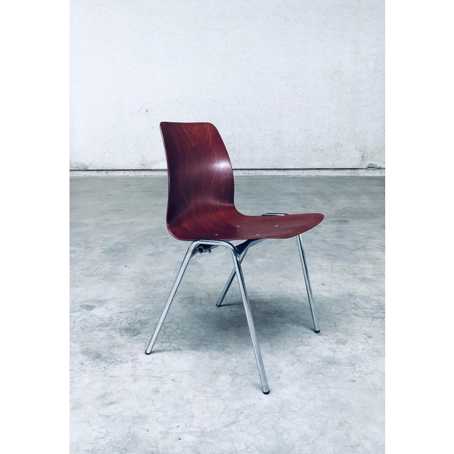 Mid-Century Design Stacking Chairs by Elmar Flötotto for Pagholz, Germany, 1960s, Set of 12 For Sale - Image 11 of 18