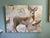 This 48” x 36” painting depicts “the best neighbors” the deer who frequent our neighborhood.painting was inspired by a...