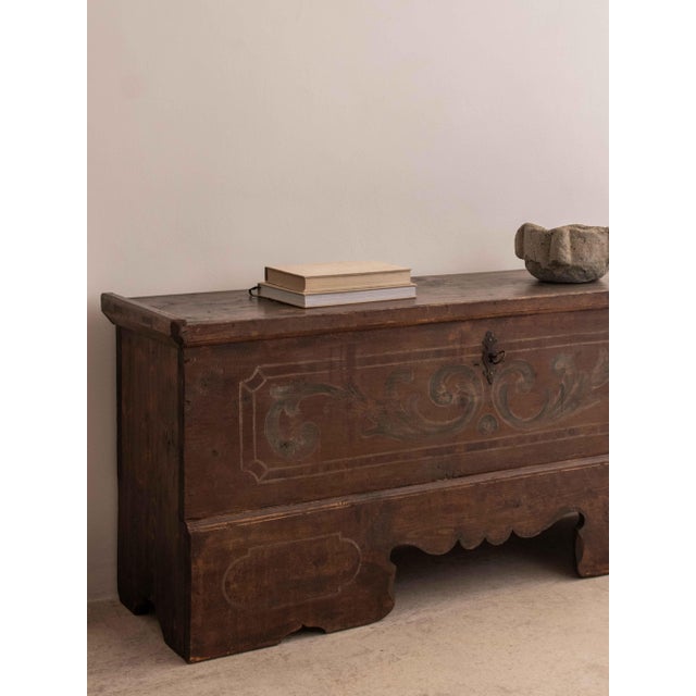 Brown French Trunk, Alsace, 18th Century For Sale - Image 8 of 9