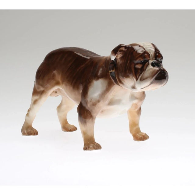 Bulldog from Royal Doulton For Sale - Image 4 of 4