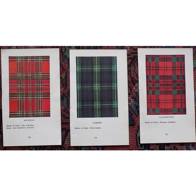 Vintage Mid 20th Century Scottish Tartan Lithographs - Set of 15 For Sale In Cincinnati - Image 6 of 9