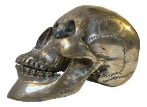 Vintage Bronze Sculpture Cast of a Human Skull, 1950s