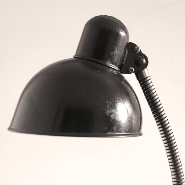 Vintage German Bauhaus Desk Lamp by Christian Dell for Kaiser Idell 6561, 1950s For Sale - Image 10 of 12