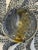 Brutalist Wall Light in Glass and Wrought Iron, 1960s For Sale - Image 6 of 13