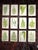 Green Antique 19th Century Botanical Wood Engravings - Ferns - Set of 12 For Sale - Image 8 of 8