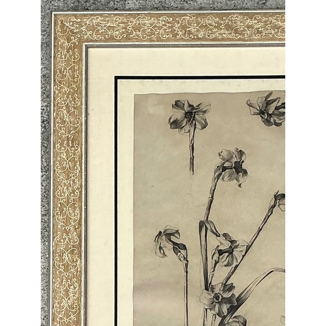 Framed Botanical Drawing With Gold Detailing For Sale - Image 9 of 14