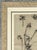 Framed Botanical Drawing With Gold Detailing For Sale - Image 9 of 14