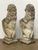Pair of Cast Stone Armorial Lion Garden Statues From England - Two Available For Sale - Image 10 of 15
