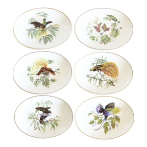 Mottadeheh Design Portuguese Birds of Paradise Porcelain Plates, Set of 6