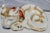 Ceramic 19th Century Japanese Kutani Porcelain Cat For Sale - Image 7 of 8