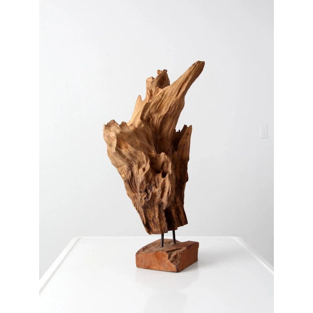 Mid-century organic wood sculpture on stand, featuring a naturally shaped wood form mounted on a wooden base with metal...
