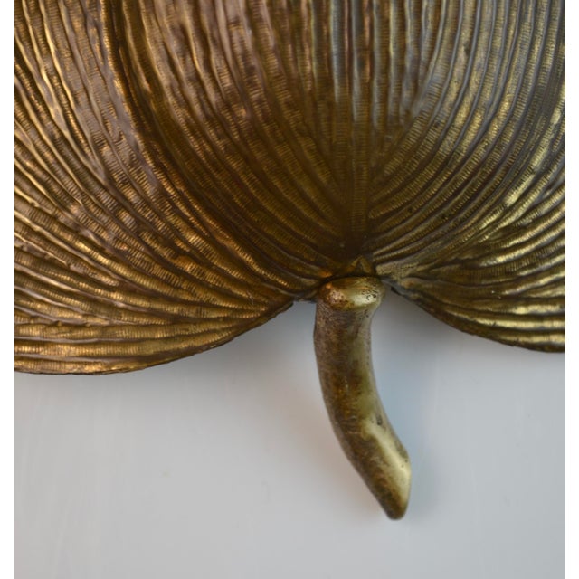 Mid-Century Modern Plane Tree Leaf Wall Sconce in Gilt Brass, 1950s For Sale - Image 4 of 10