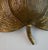 Mid-Century Modern Plane Tree Leaf Wall Sconce in Gilt Brass, 1950s For Sale - Image 4 of 10