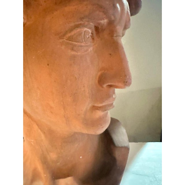 Antique Terracotta Bust of Michelangelos David by Manetti, Italy, 1910 For Sale - Image 10 of 11
