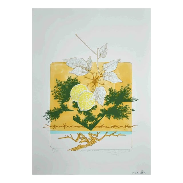 Leo Guida, Still Life, Original Screen Print, 1976 For Sale