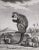 18th Century 18th Century Original French Monkey Engraving by Buffon 1789 For Sale - Image 5 of 8