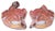 1950s The Modular Anatomical Torso: Somso Model Bs 23 For Sale - Image 10 of 14