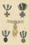 Black Orders of Prussia, 1844, Paper For Sale - Image 8 of 8