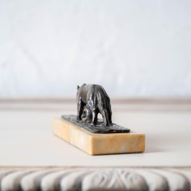 Grand Tour Capitoline She-Wolf Bronze (Lupa Capitolina), c.1880 For Sale - Image 11 of 12