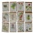 Set of 12 Vintage Botanical Prints Unframed For Sale