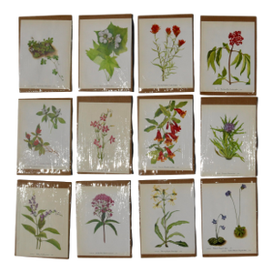 Set of 12 Vintage Botanical Prints Unframed