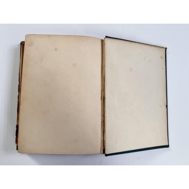 1884 the Water World by J W Van Dervoort Illustrated Book About Sea Life, Ghost Ships For Sale - Image 16 of 17