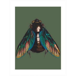 Bugs by Seguy #13 For Sale