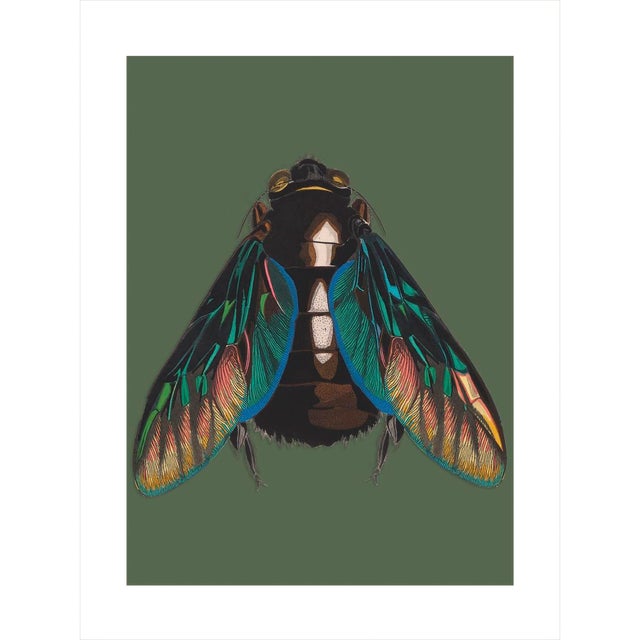 Bugs by Seguy #13 For Sale