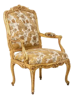 Louis XV Style Armchair with Queen-Style Backrest, 20th Century