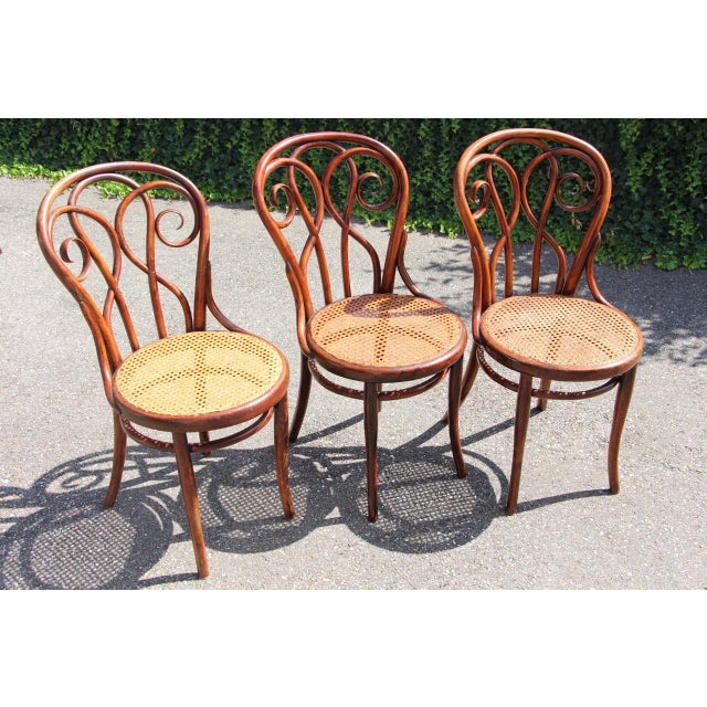 19th Century 19th Century Bistro Chairs in the style of Thonet, 1890s, Set of 8 For Sale - Image 5 of 14