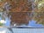 Wood Vintage French Extendable Dining Table, 1970s For Sale - Image 7 of 17