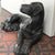 Black Vintage Black Labrador Door Stop, 1960 For Sale - Image 8 of 12