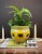 Mid-Century Modern Vintage Mid-Century Italian Ceramic Yellow Flowers Planter / Cachepot For Sale - Image 3 of 10