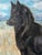 1970s Vintage Large Framed Pastel Portrait of Black German Shepherd For Sale - Image 5 of 7