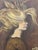 A wonderfully expressive vintage portrait depicting a woman in profile with dramatically windswept hair sweeping across...