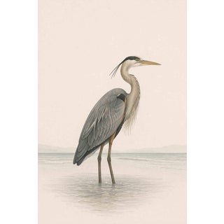 Great Blue Heron Coastal Study, Neutral Bird Wall Art Print, 20" X 30" For Sale